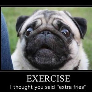 Meet your Posher, Thomas